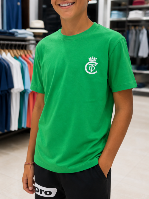 Camiseta básica Centauro
