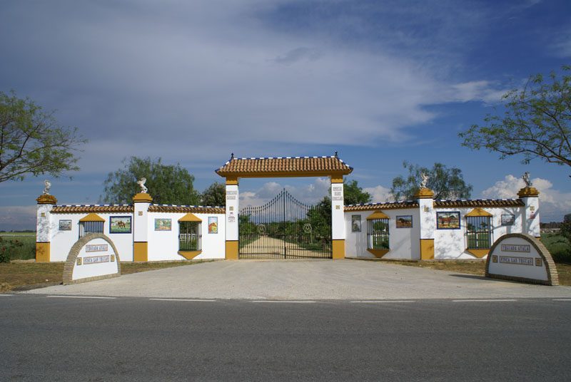 DSC05638 guarnicioneria ayala