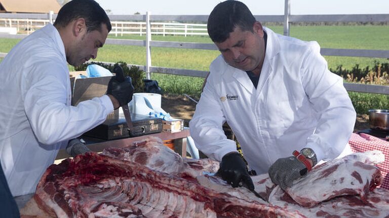 La fiesta del cerdo ibérico de kilómetro cero