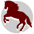 iconos1